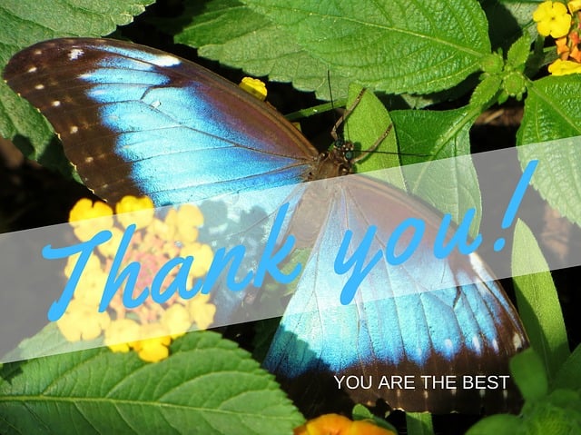 you