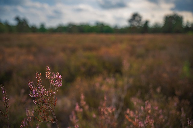 august-640x480-70187918.jpeg