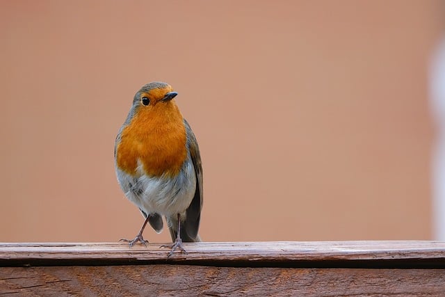 Immerse Yourself in English Slang: Conversational Mastery