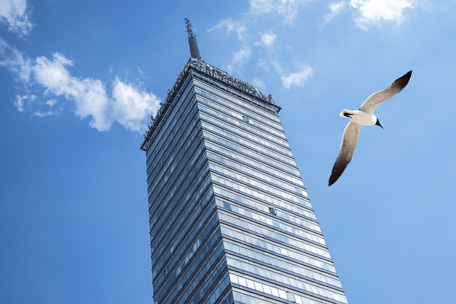 Federal Board of Revenue of Pakistan