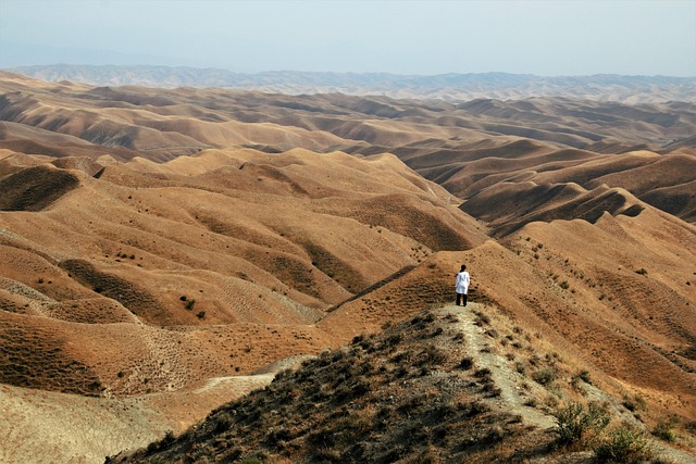 iran-640x480-48960712.jpeg