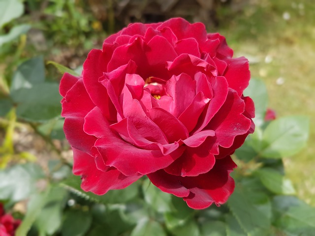 July