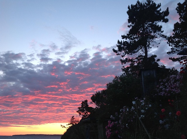 july-640x480-6965356.jpeg