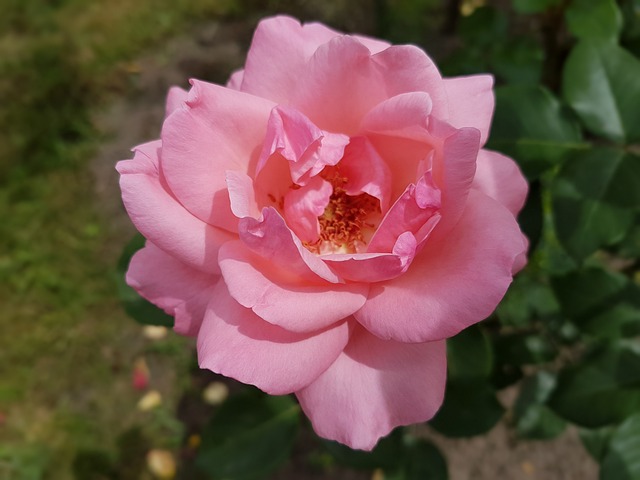 july-640x480-90318487.jpeg