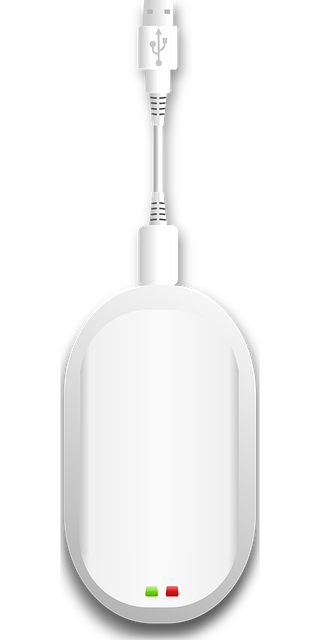 pak-vs-wi-640x480-73446186.png