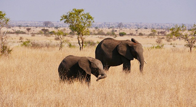 South Africa