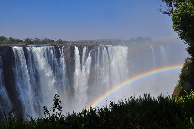 south africa vs zimbabwe