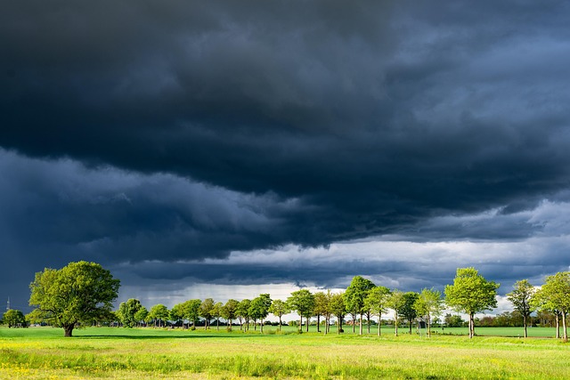 today weather