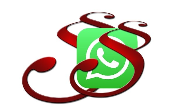 whatsapp