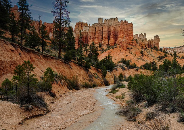 Unforgettable Battles: Australia vs West Indies Rivalry Unveiled