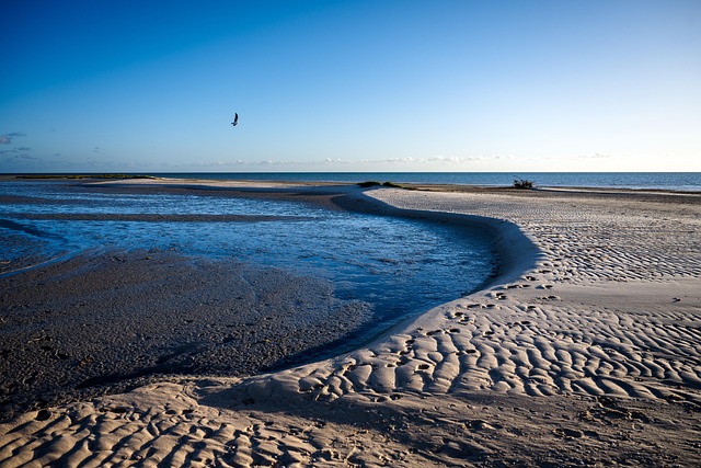 australia vs west indies