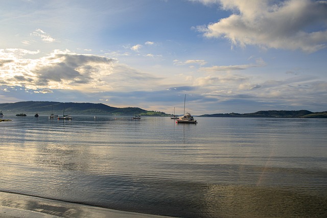 australia vs west indies