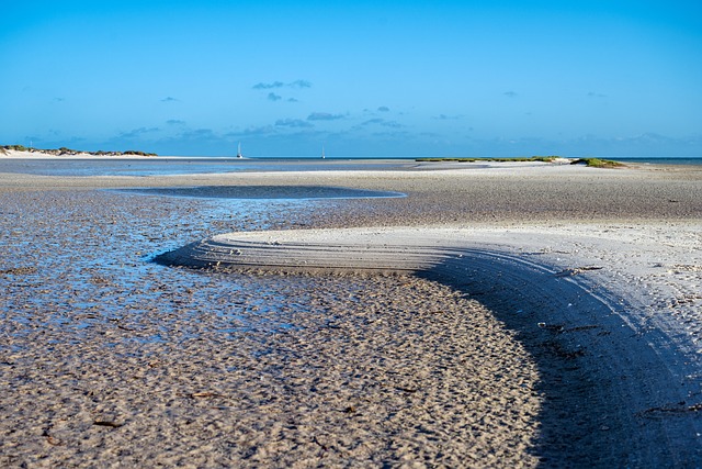 australia vs west indies