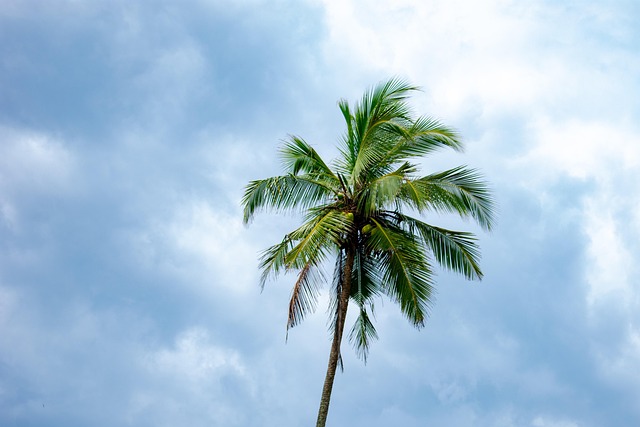 bangladesh vs sri lanka