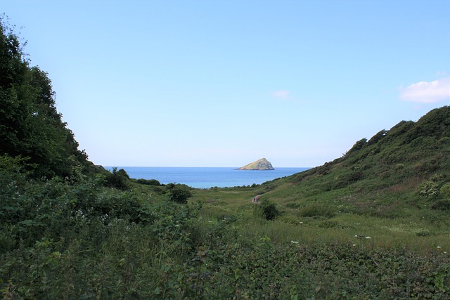 Tactical Mastery: England vs West Indies – Match Analysis Guide