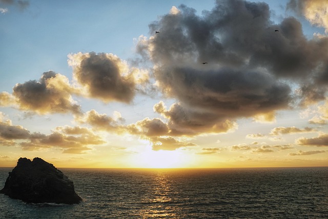 england vs west indies