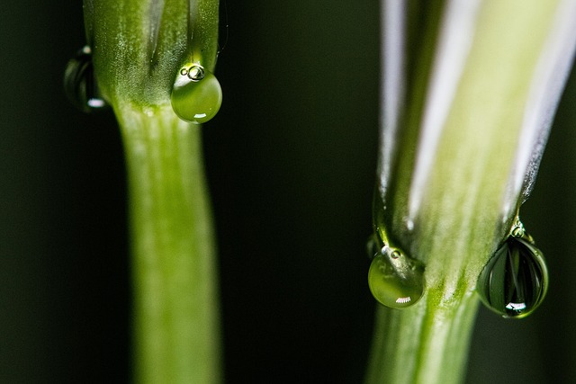 Master Retail Pricing: Psychology Tactics and Ethical Balance