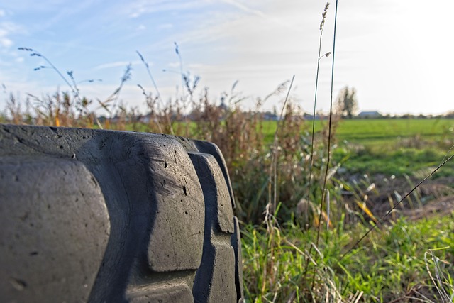 slot casino jago79.xyz