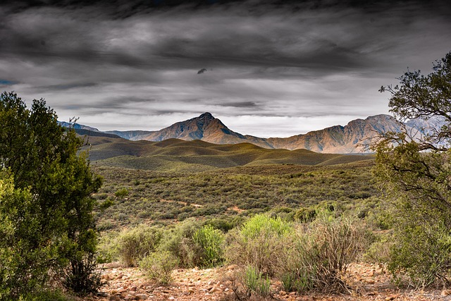 South Africa vs Zimbabwe: Culinary Traditions Unveiled