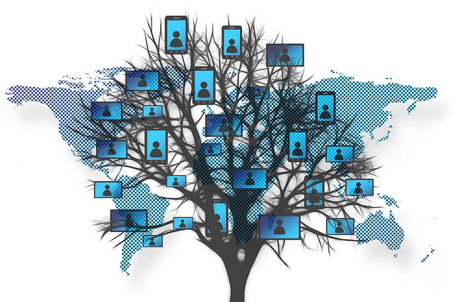 Boost TikTok Engagement: Craft & Share Effective Polls