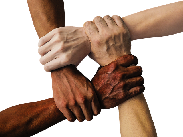 west indies cricket team vs pakistan