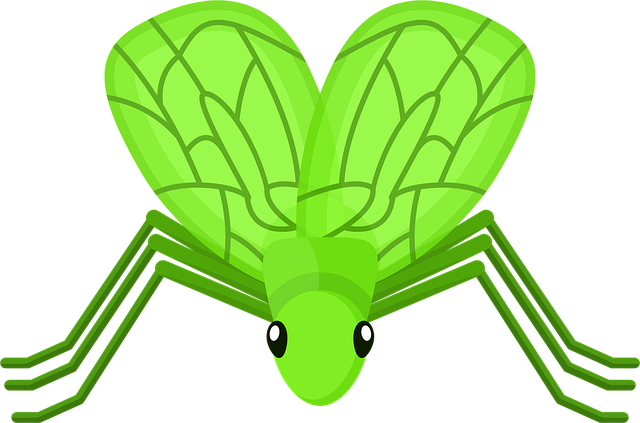 west indies cricket team vs pakistan