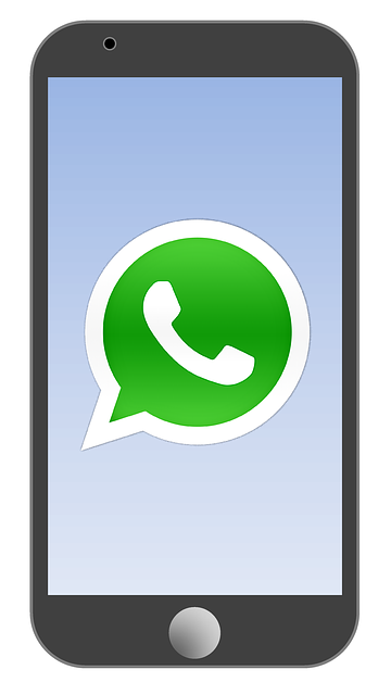 whatsapp web