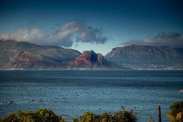 australia vs south africa