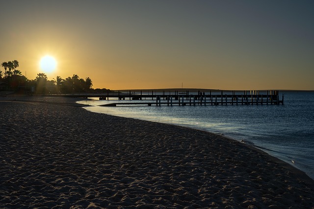 australia vs west indies
