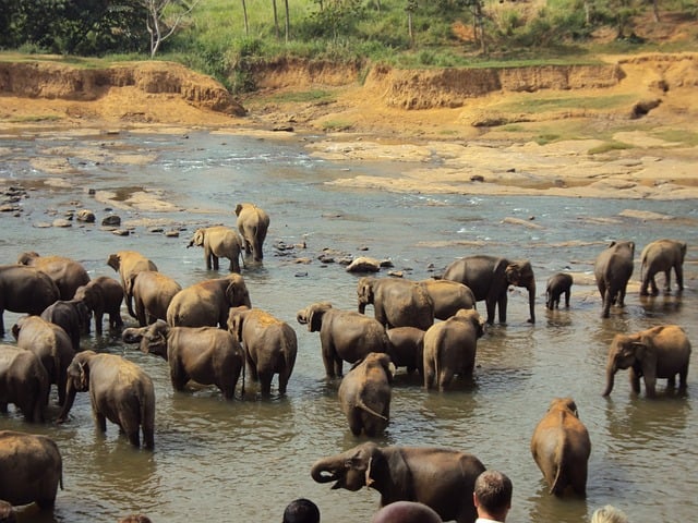 bangladesh vs sri lanka