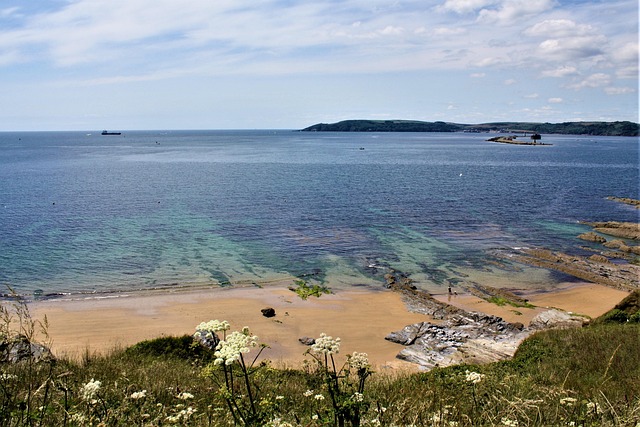 england vs west indies