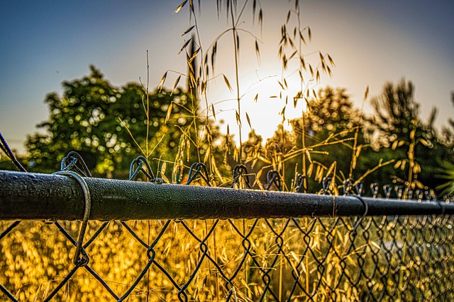 Unleash Insights: MVPwin555 – Launch Data Analysis for Success