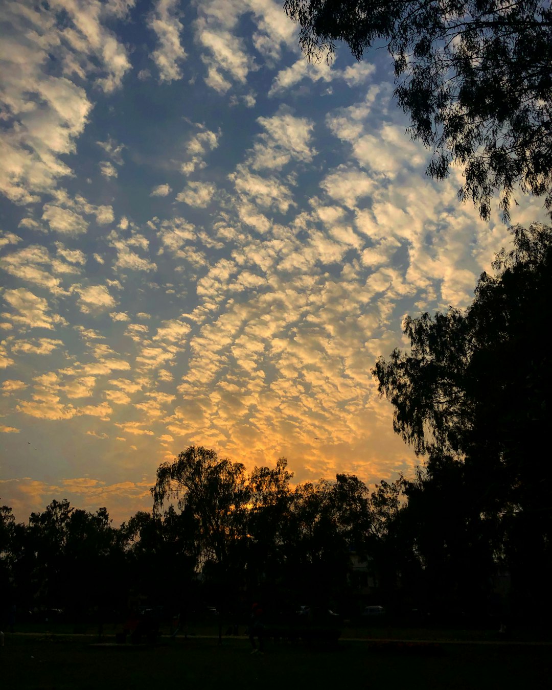 Unveiling Gujranwala’s Hidden Gems: Health & Tourism Treasures