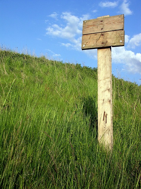 Unveiling Strategies: Pak vs Ban Test Cricket Tactics