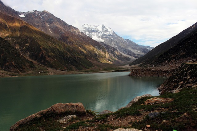 Pakistan’s Spin vs West Indies’ Pace: Bowling Battle for Dominance
