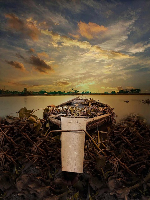 pakistan vs bangladesh