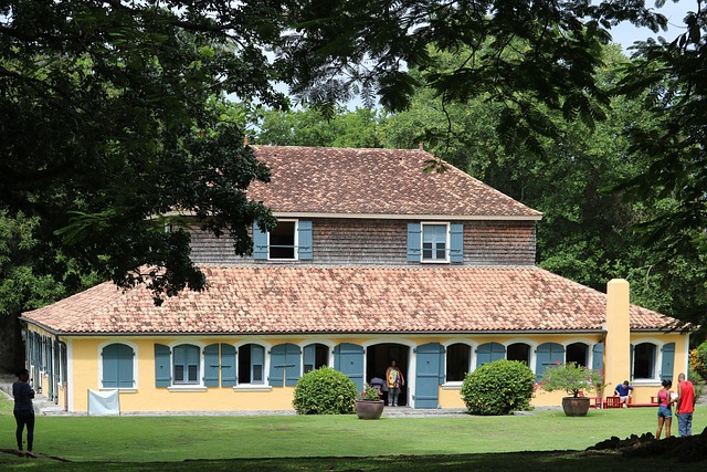 Unleash Cricket Mastery: West Indies vs Pakistan Fielding Analysis