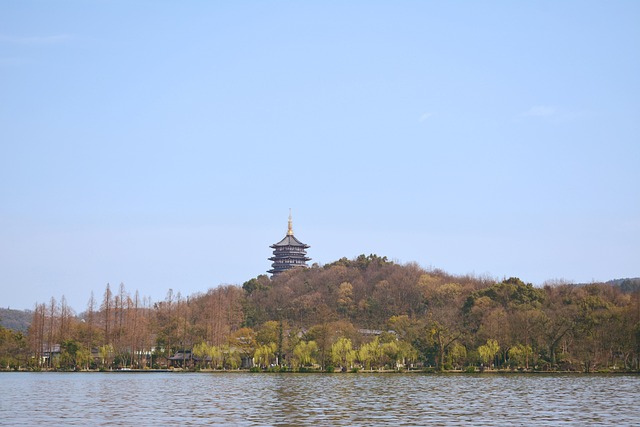 west indies vs pakistan