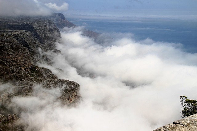 australia vs south africa