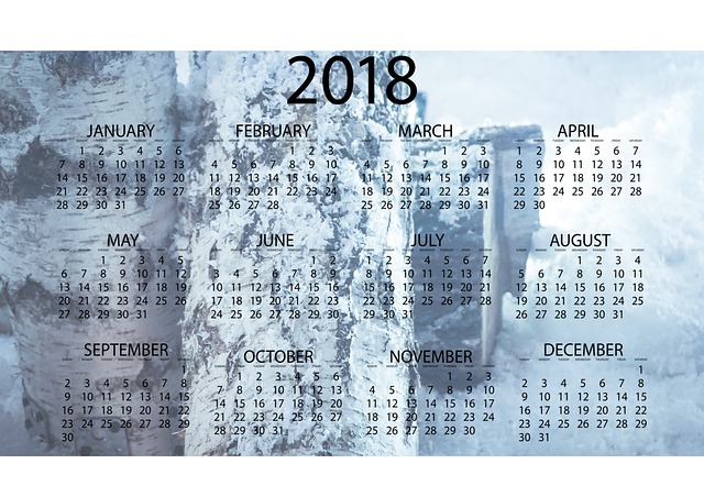 Calendar date
