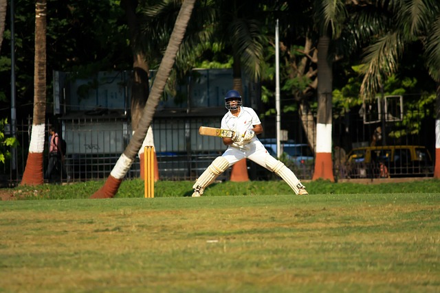 cricket