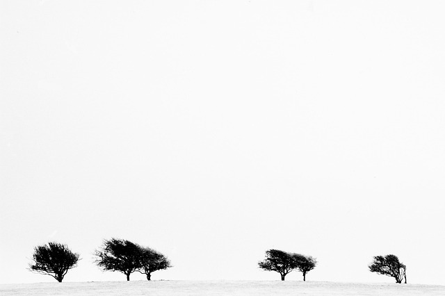 england vs west indies