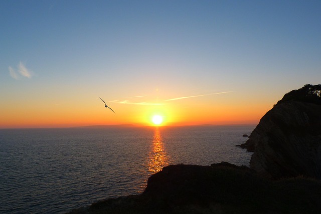 england vs west indies