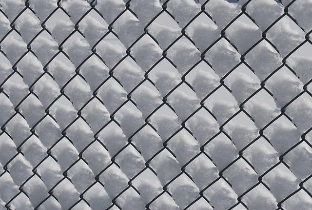 MVP Success: Define, Develop, Iterate, Launch, Scale (MVPwin555)