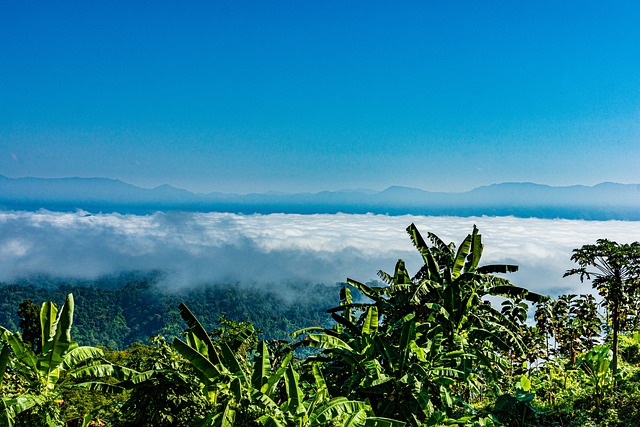 pakistan vs bangladesh