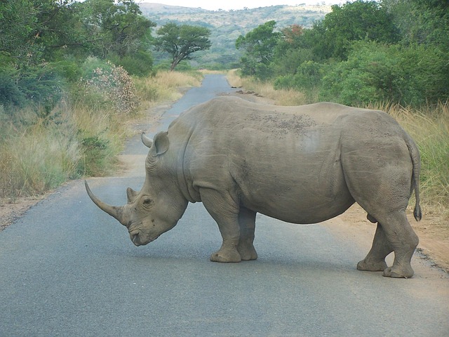 South Africa