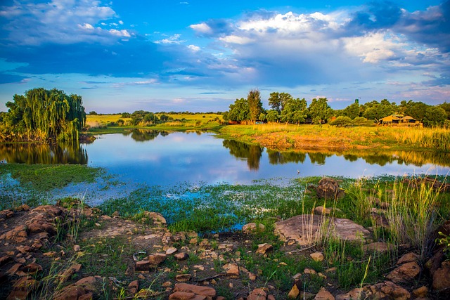 south africa vs zimbabwe