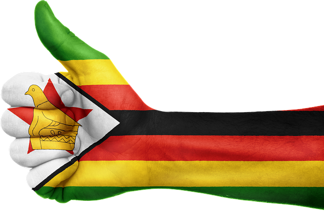 south africa vs zimbabwe