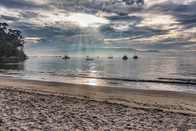 australia vs west indies