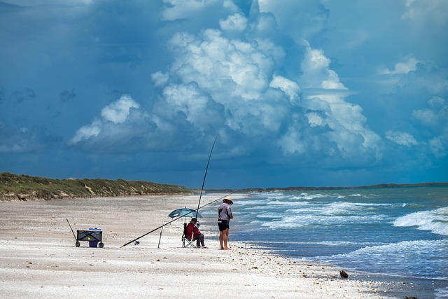 australia vs west indies